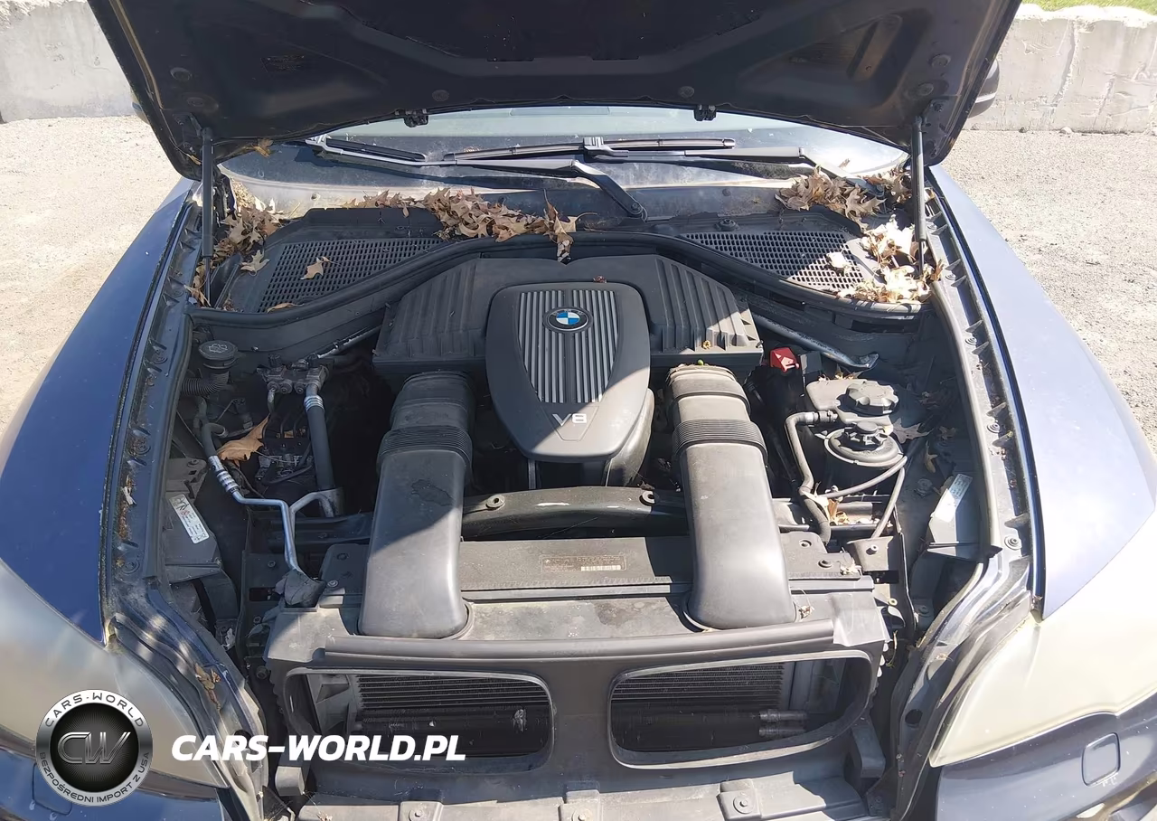 2008 BMW X5 4.8I VIN:5UXFE83518L165114 - 10