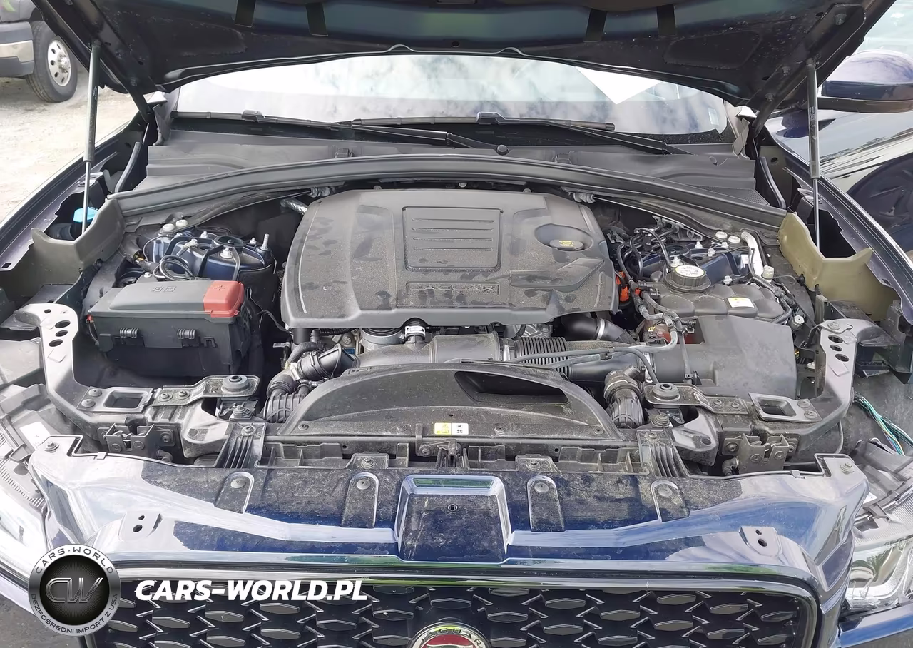 2023 Jaguar F-Pace S P250 Awd Automatic VIN:SADCJ2EX8PA717962 - 10