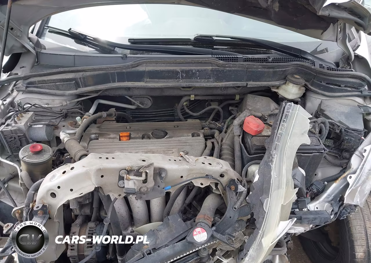 2009 Honda Cr-V Lx VIN:5J6RE383X9L030556 - 10