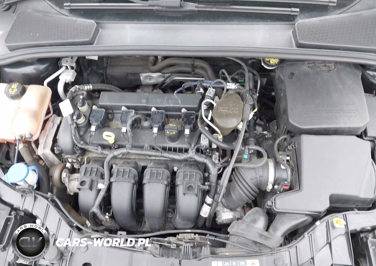 2016 Ford Focus Se VIN:1FADP3F27GL292316 - 10