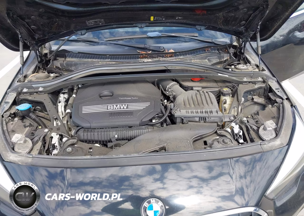 2021 BMW 228I Gran Coupe xDrive VIN:WBA73AK09M7H59025 - 10