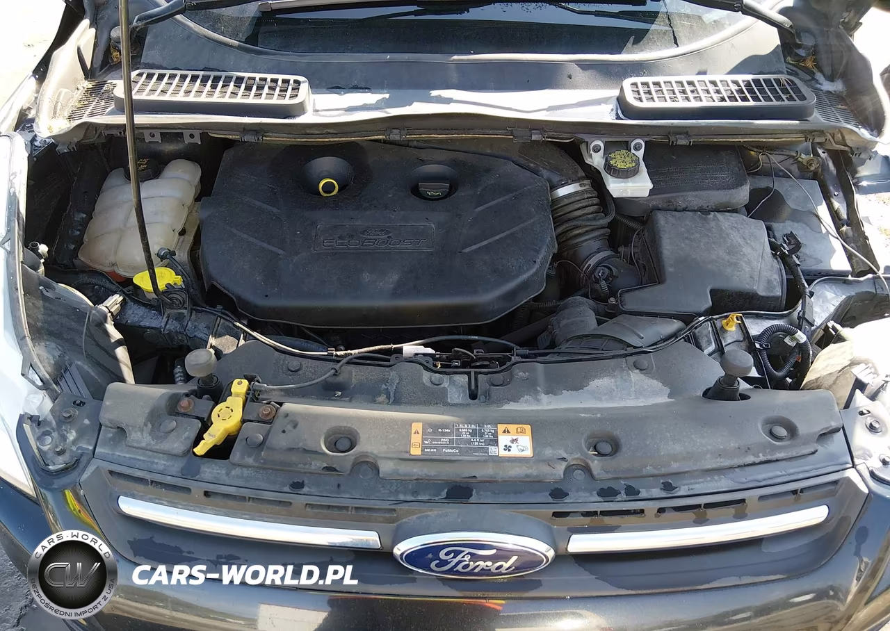 2014 Ford Escape Se VIN:1FMCU9G99EUD75164 - 10