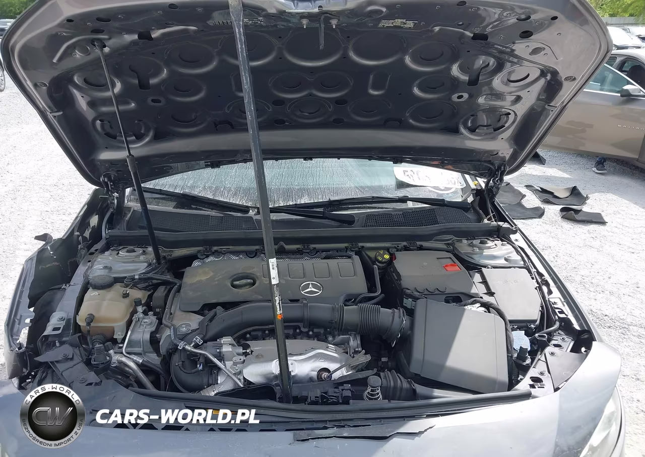 2019 Mercedes-Benz A 220 VIN:WDD3G4EB0KW024380 - 10