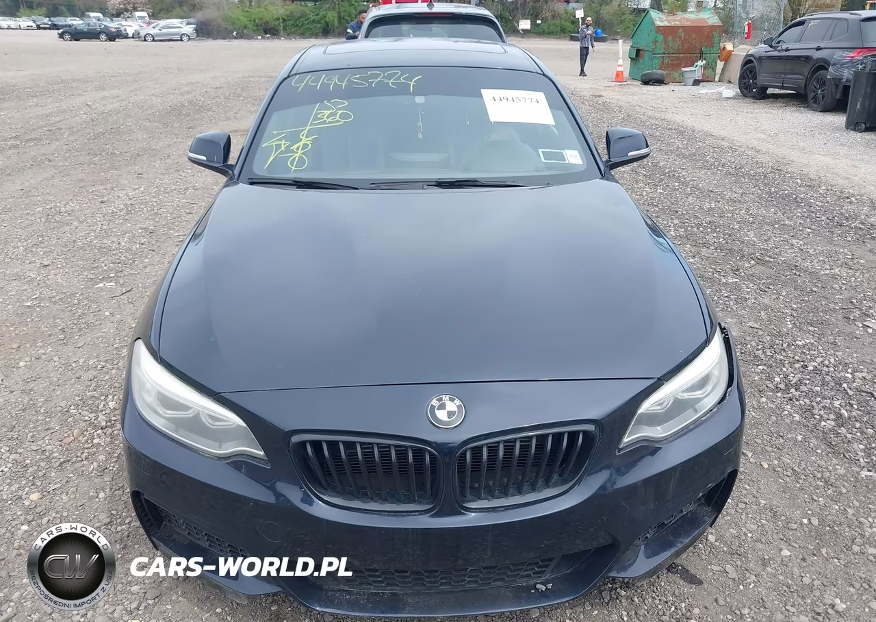 2015 BMW M235 xDrive VIN:WBA1J9C58FVX99127 - 12