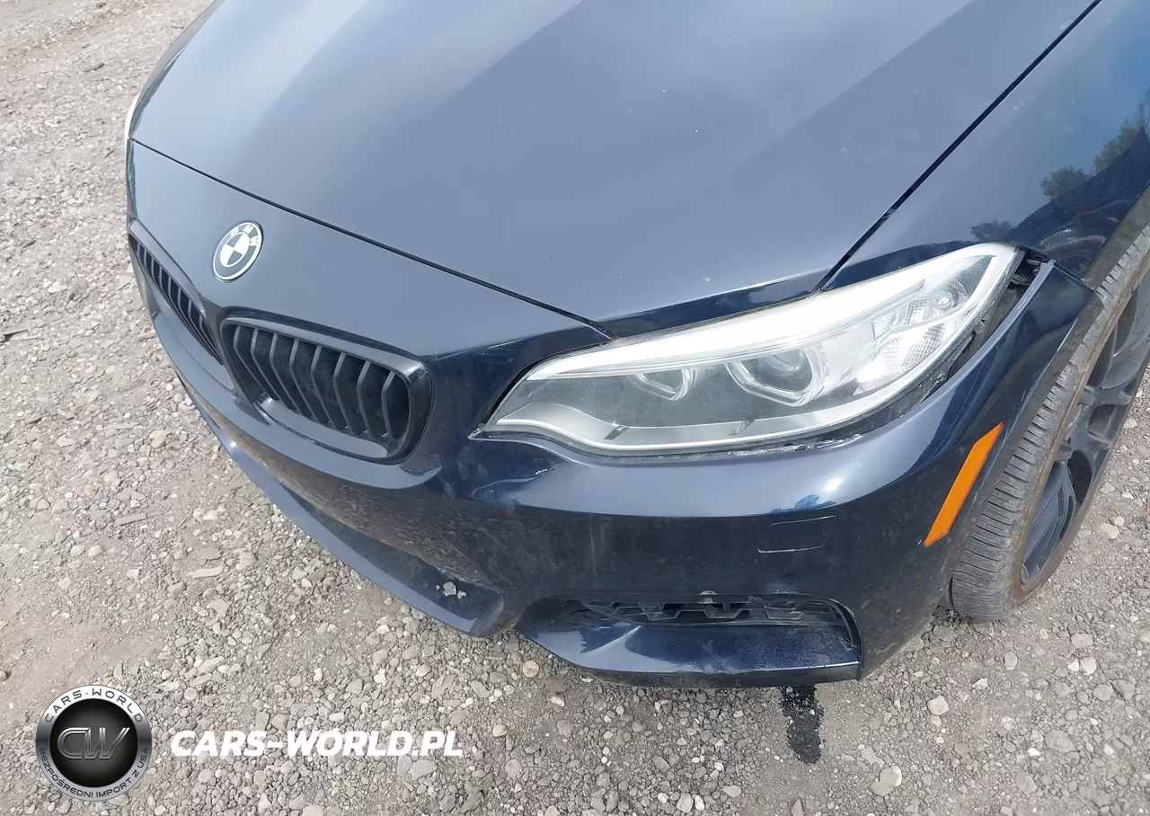 2015 BMW M235 xDrive VIN:WBA1J9C58FVX99127 - 6