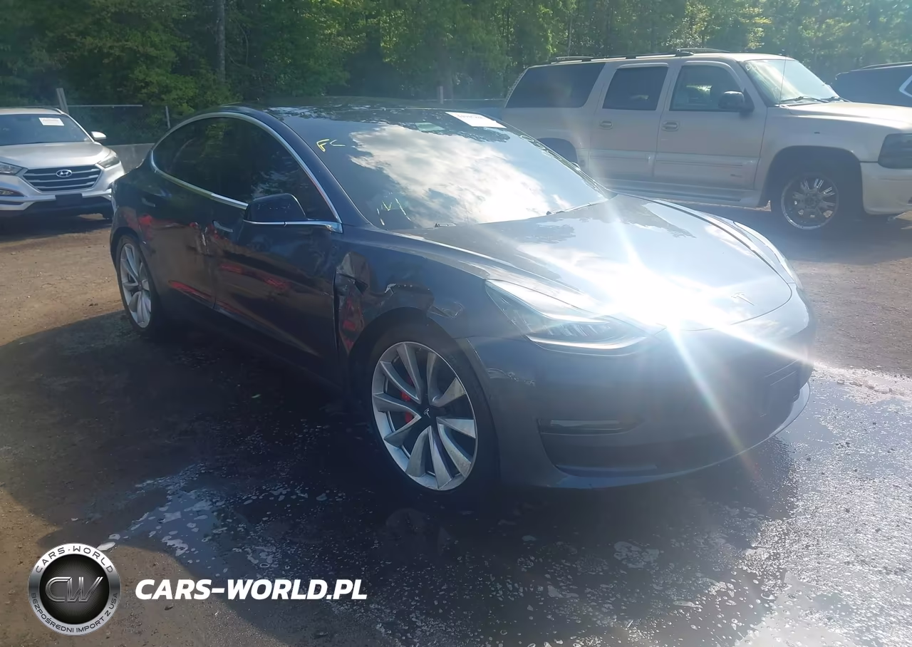 2019 Tesla Model 3 Long Range-Performance
