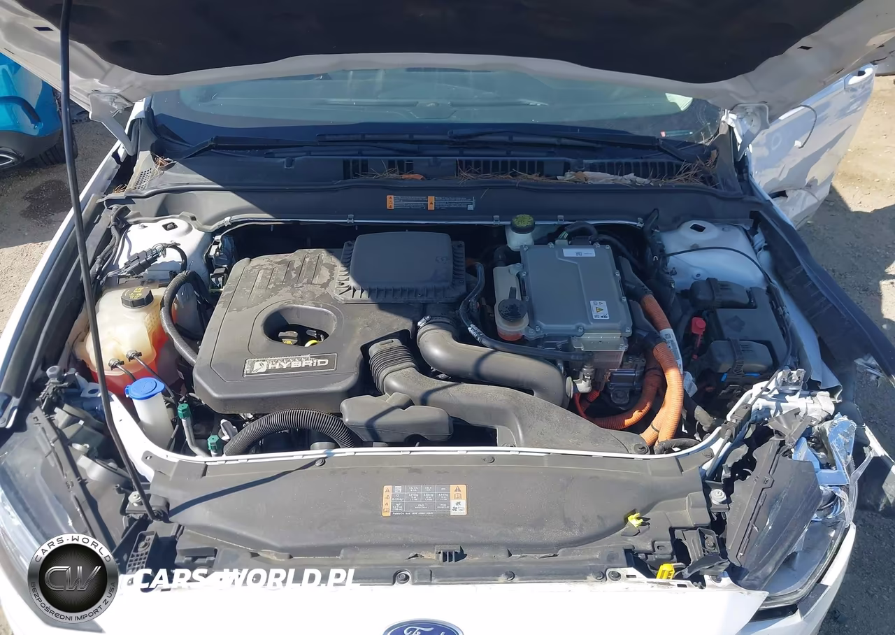 2017 Ford Fusion Hybrid Se VIN:3FA6P0LU8HR295323 - 10