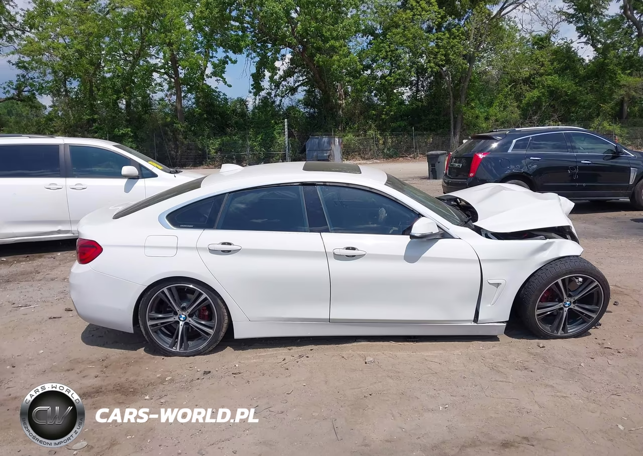 2018 BMW 430I Gran Coupe VIN:WBA4J1C56JBG80391 - 13