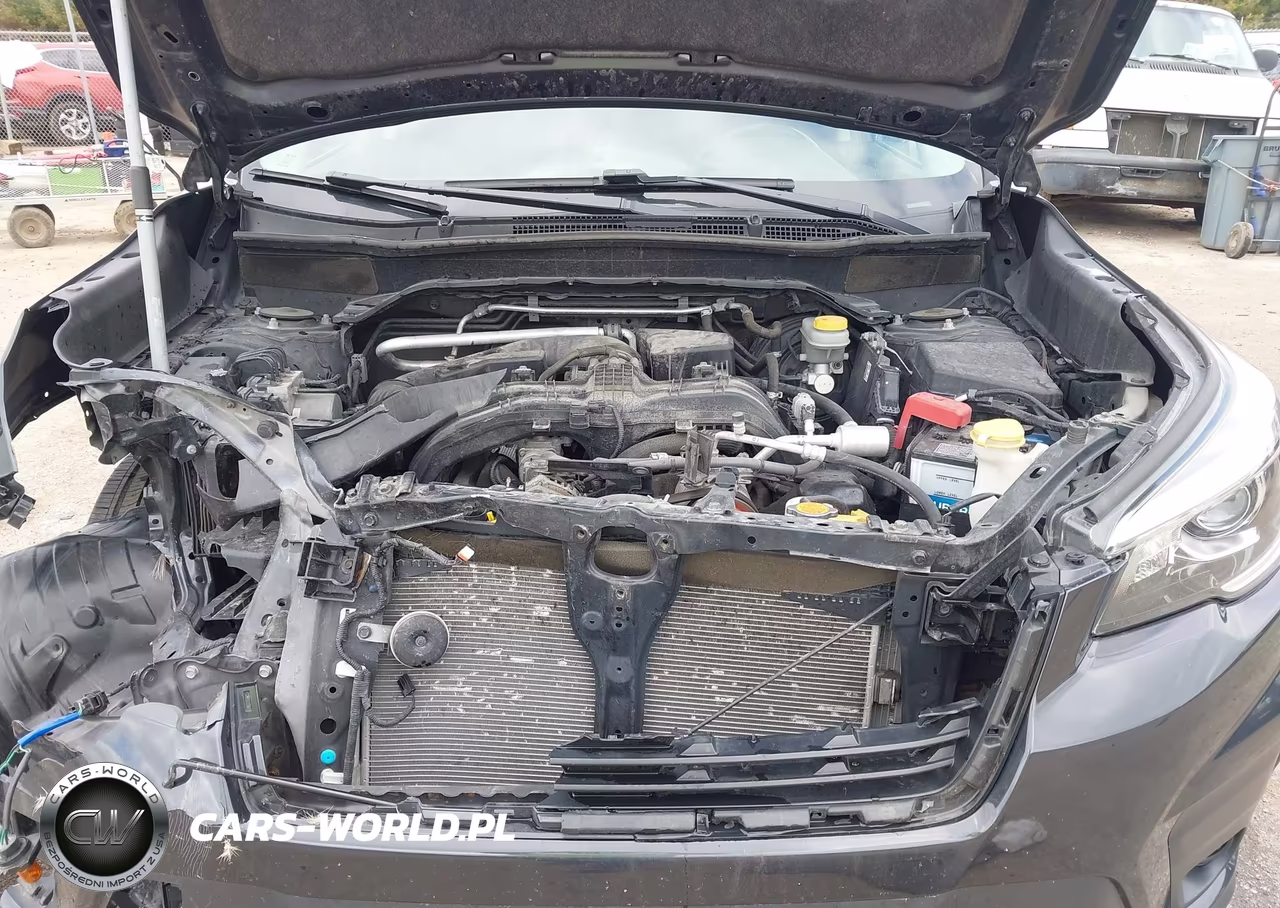 2019 Subaru Forester Premium VIN:JF2SKAGC9KH420113 - 10