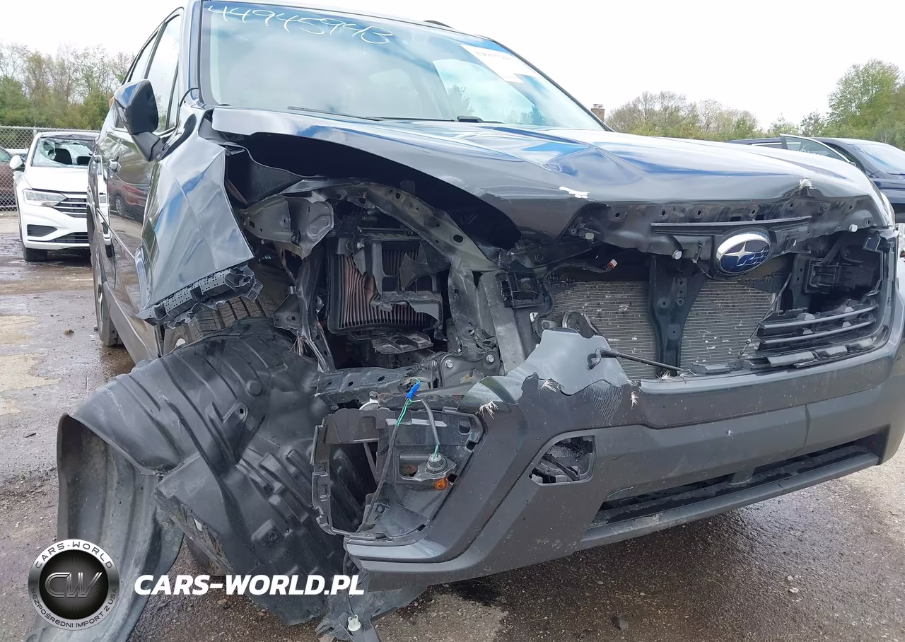 2019 Subaru Forester Premium VIN:JF2SKAGC9KH420113 - 6