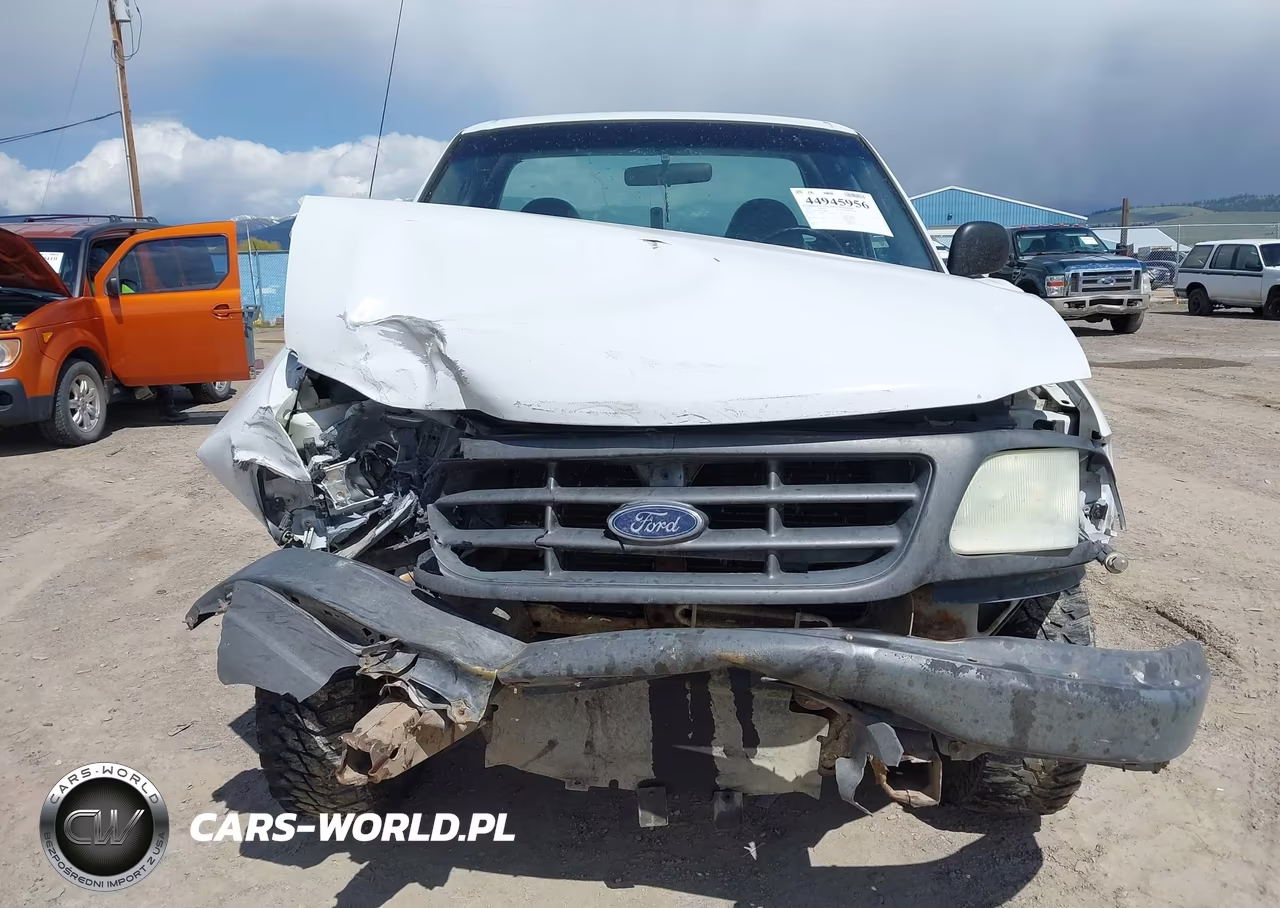 2004 Ford F-150 Heritage Xl-Xlt VIN:2FTRF18W64CA89852 - 12