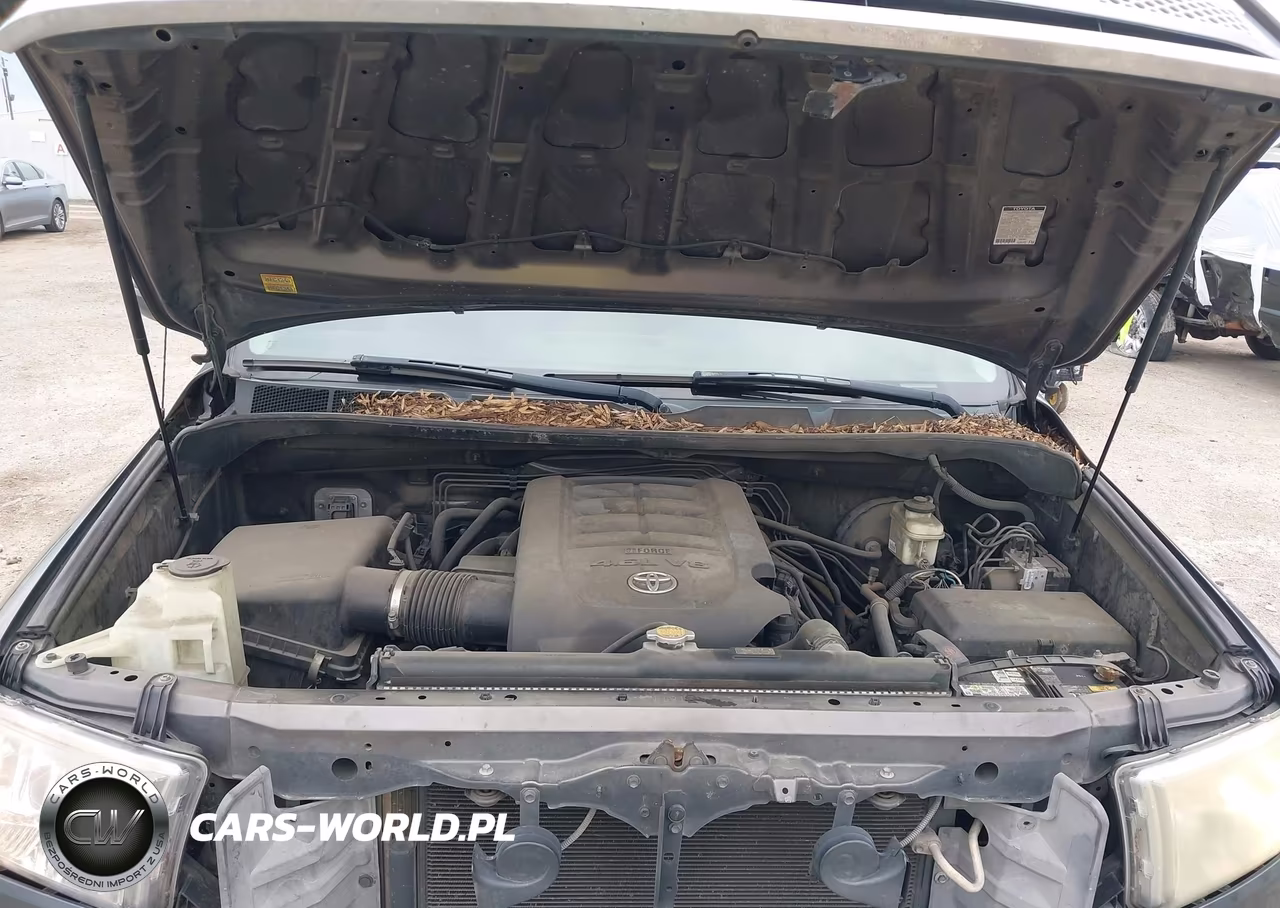 2011 Toyota Tundra Grade 4.6L V8 VIN:5TFRM5F16BX025987 - 10