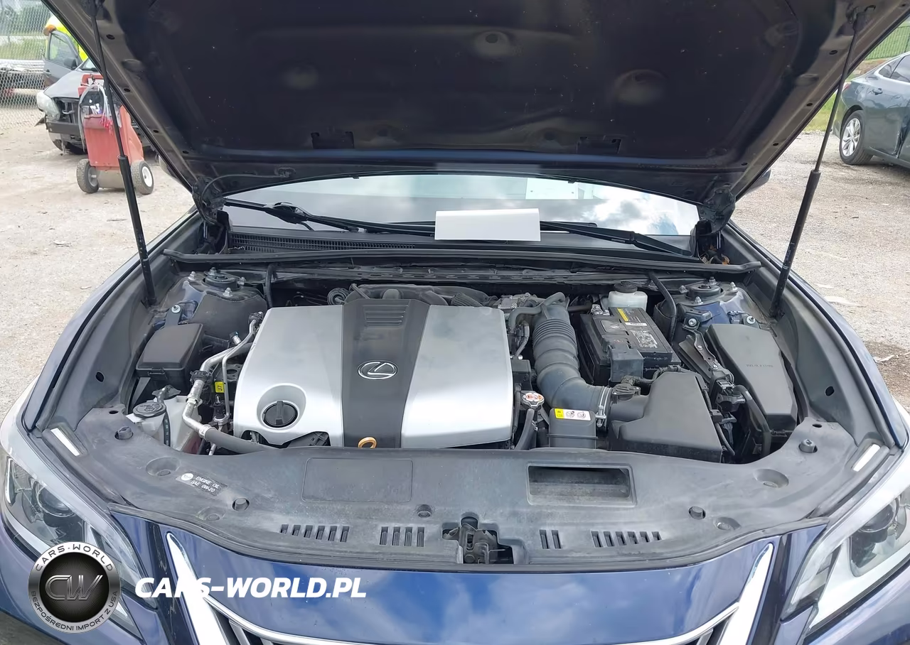 2020 Lexus Es 350 VIN:58ADZ1B10LU063989 - 10