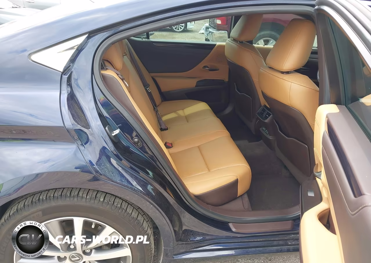 2020 Lexus Es 350 VIN:58ADZ1B10LU063989 - 8