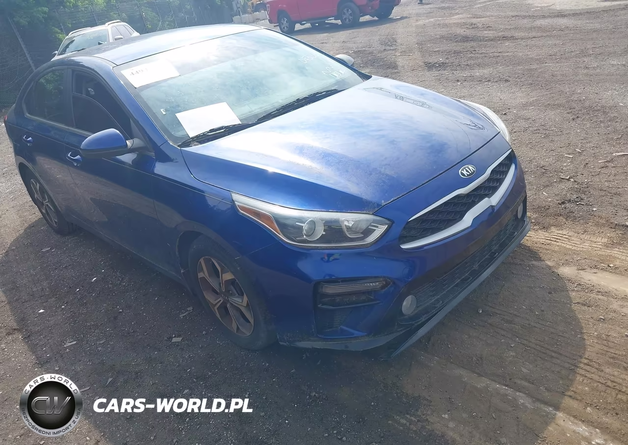 2019 Kia Forte Lxs