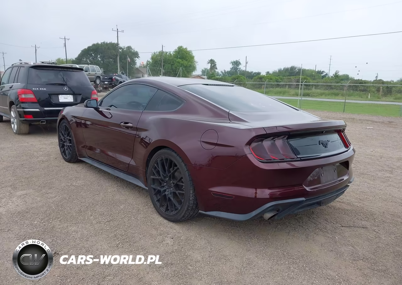 2018 Ford Mustang Ecoboost VIN:1FA6P8TH2J5123587 - 3