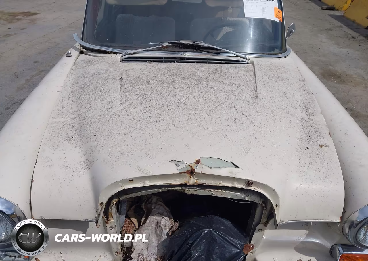 1966 Mercedes-Benz Xxx VIN:11001110016076 - 10