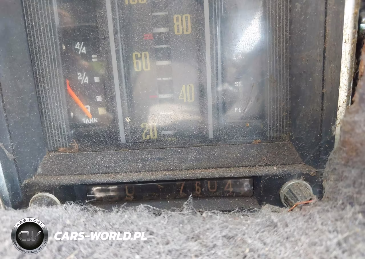 1966 Mercedes-Benz Xxx VIN:11001110016076 - 14