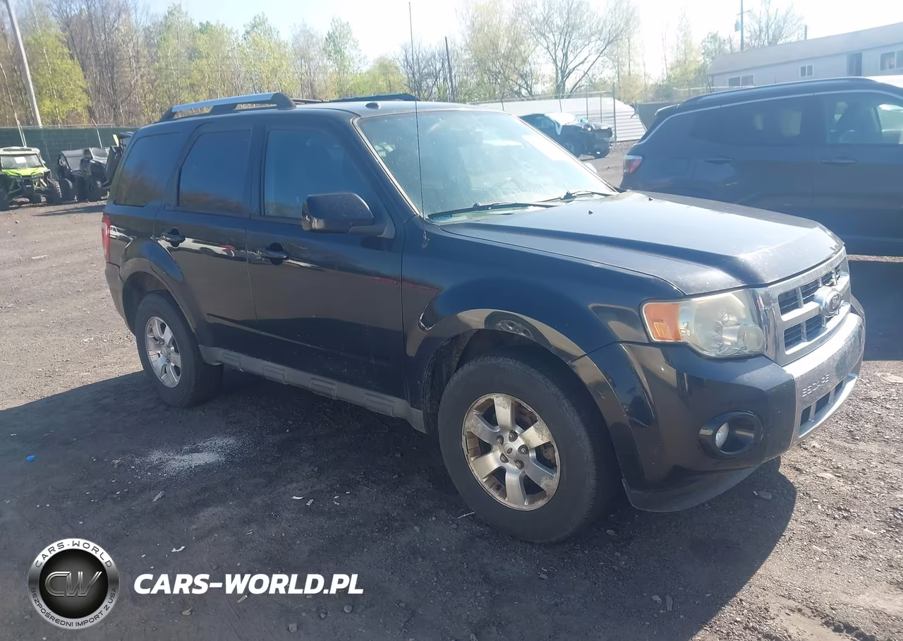2010 Ford Escape Limited