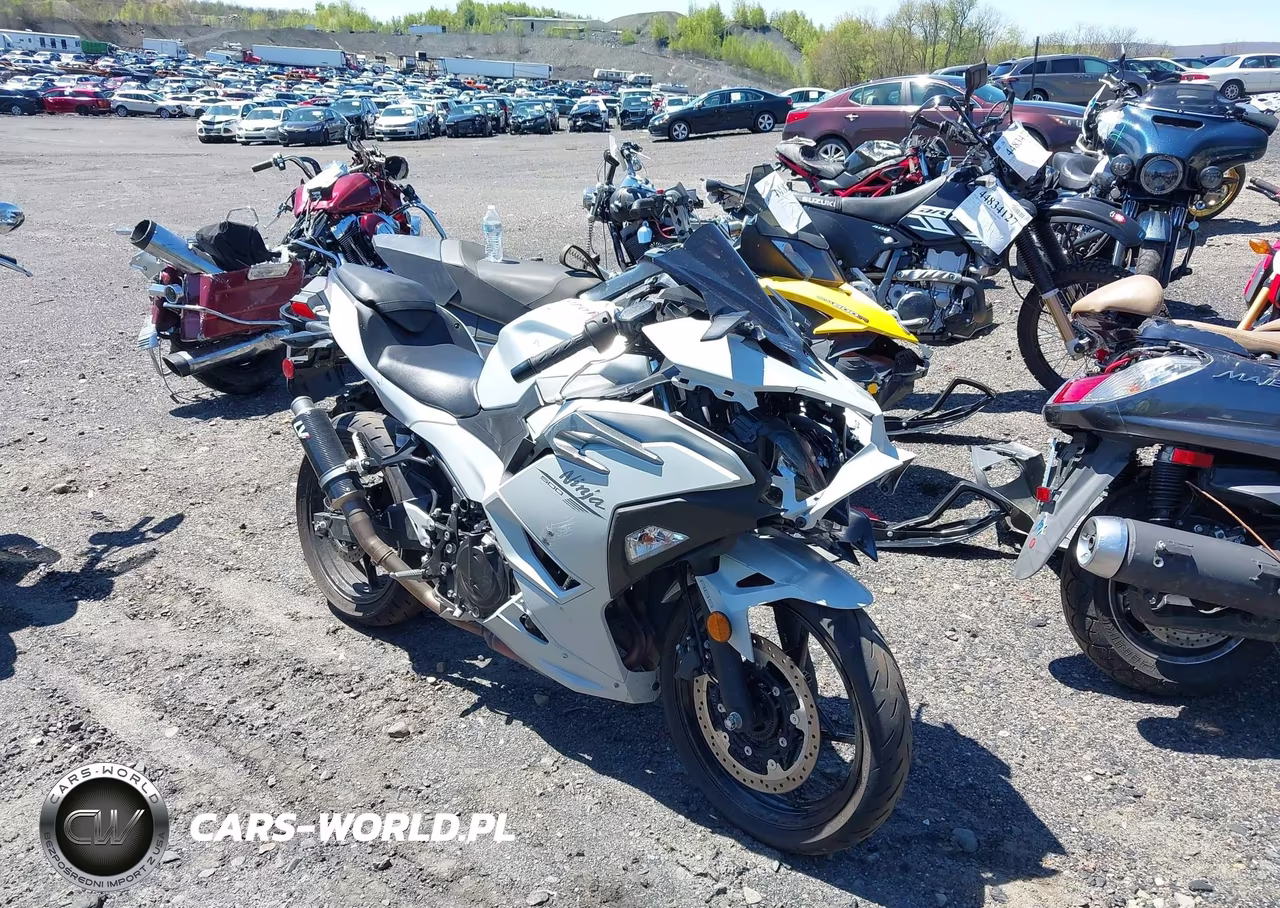 2025 Kawasaki Ex500