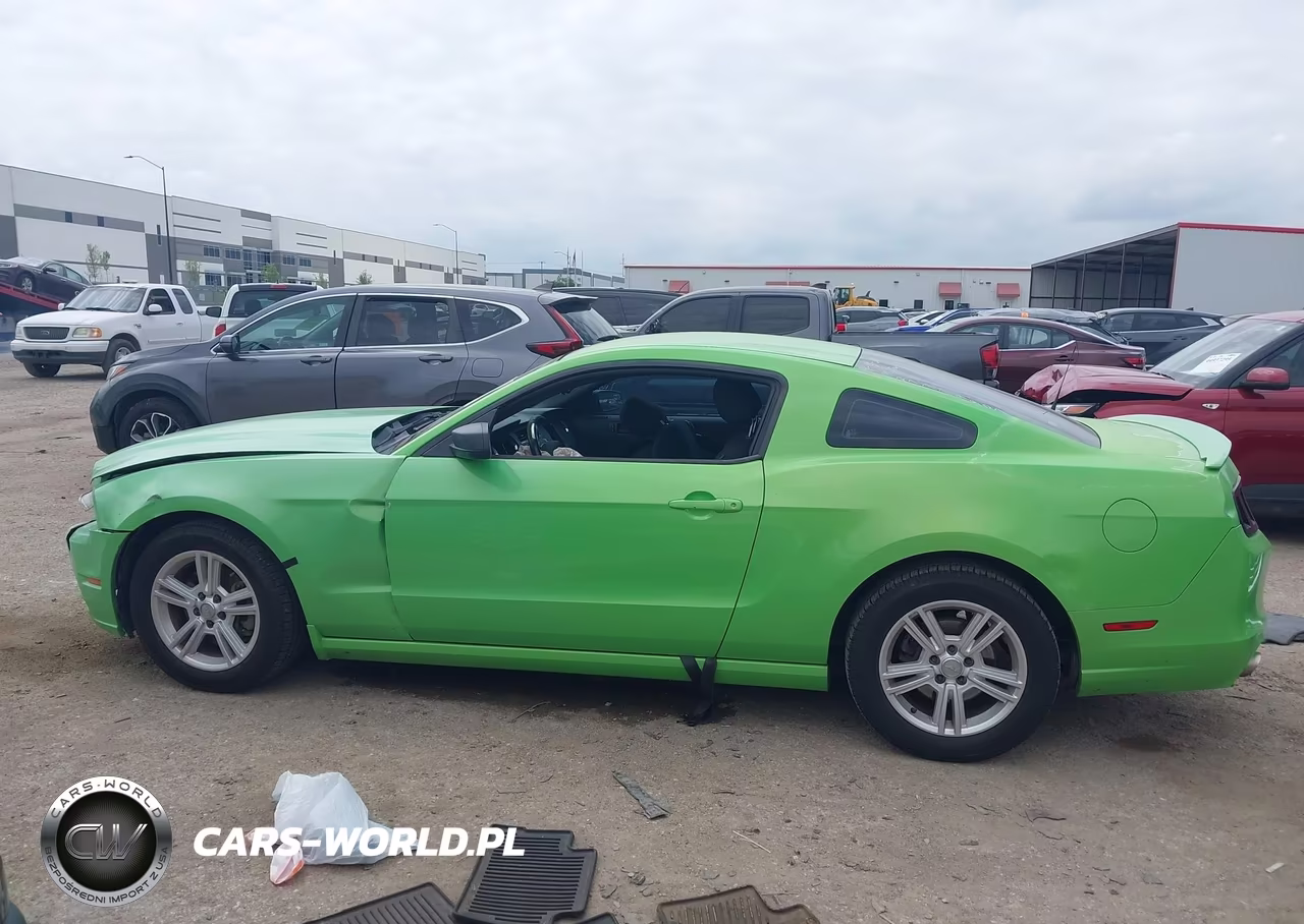 2014 Ford Mustang V6 VIN:1ZVBP8AM8E5208641 - 14