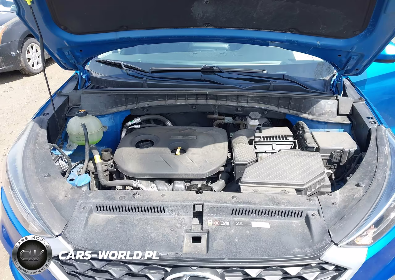 2020 Hyundai Tucson Value VIN:KM8J33A42LU244059 - 10