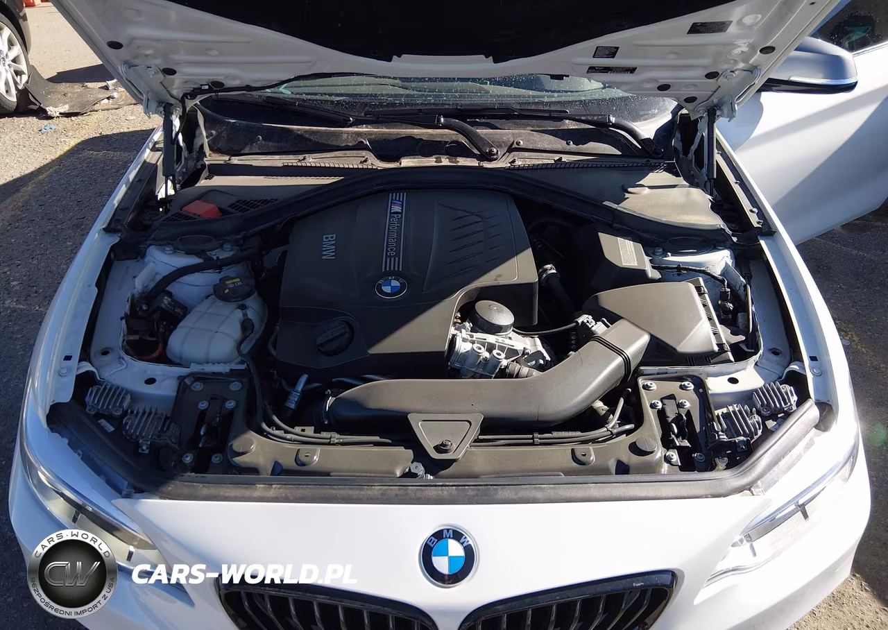 2015 BMW M235 VIN:WBA1J7C5XFV289088 - 10