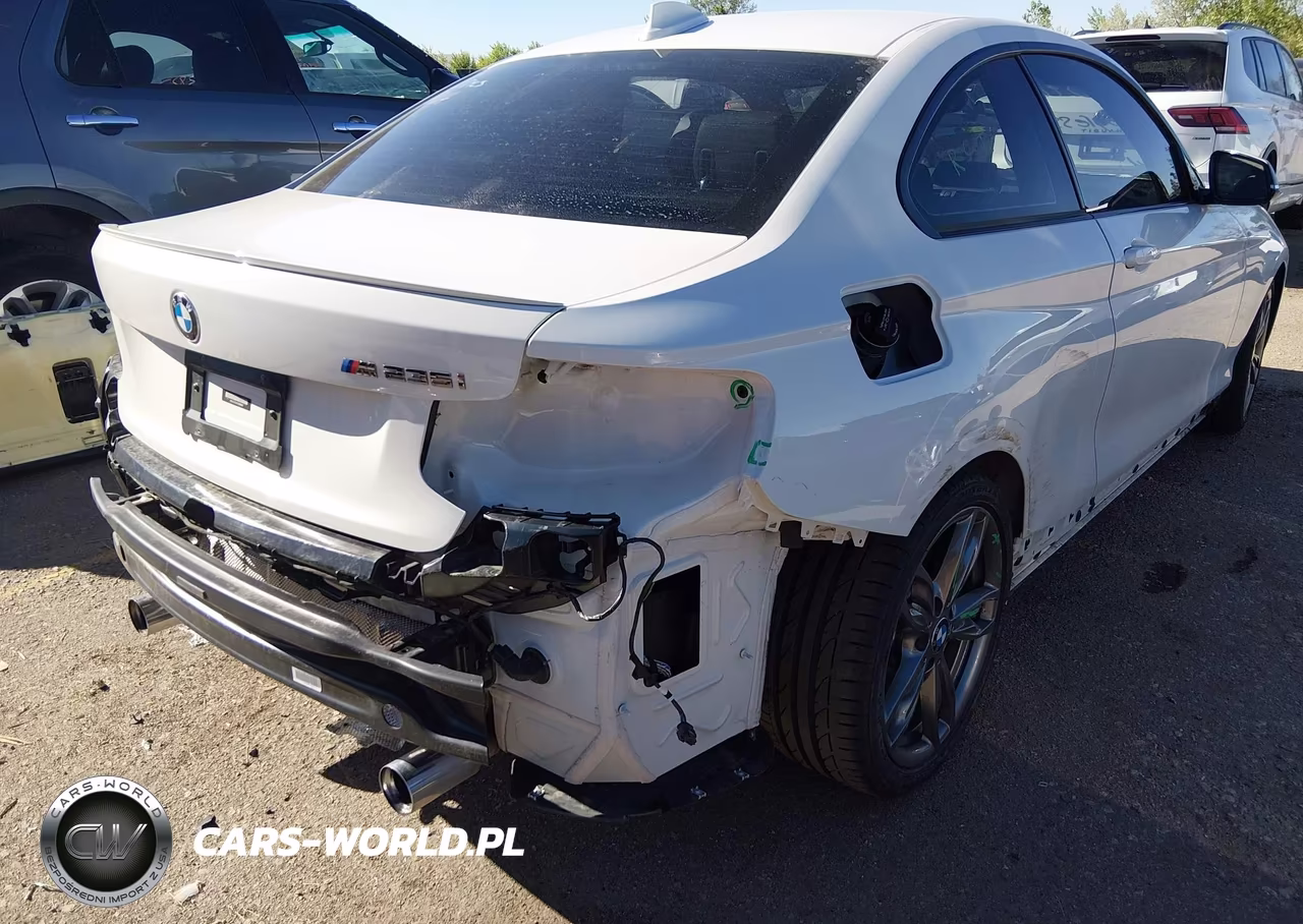 2015 BMW M235 VIN:WBA1J7C5XFV289088 - 19