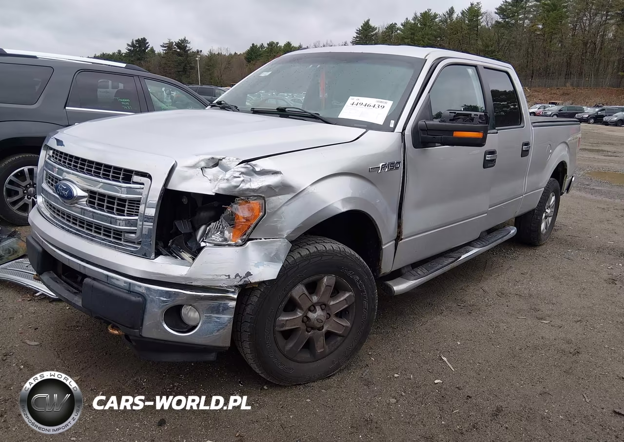 2013 Ford F-150 Xlt VIN:1FTFW1EF3DKE30997 - 2