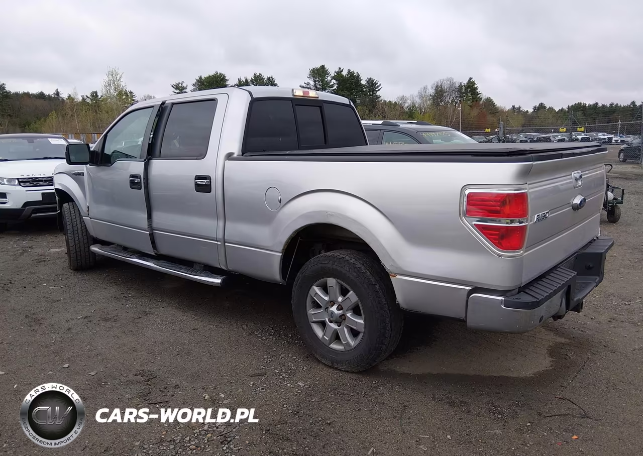 2013 Ford F-150 Xlt VIN:1FTFW1EF3DKE30997 - 3