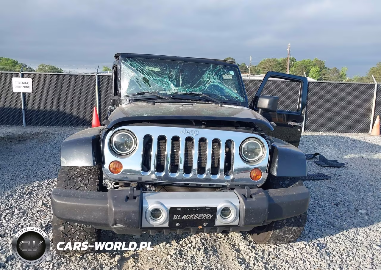 2013 Jeep Wrangler Unlimited Sahara VIN:1C4BJWEG4DL534041 - 12