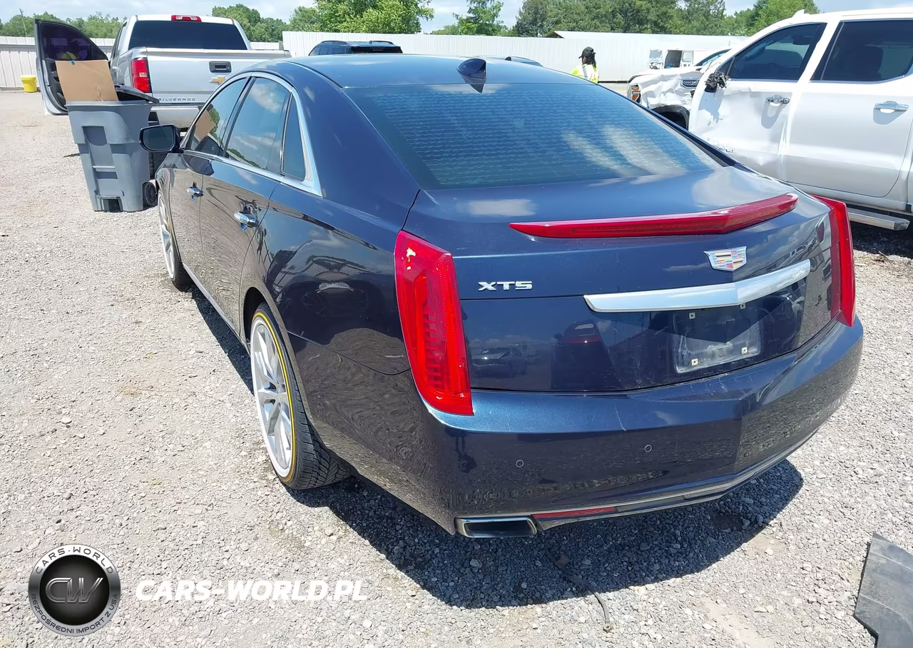 2016 Cadillac Xts Luxury Collection VIN:2G61M5S30G9210789 - 3