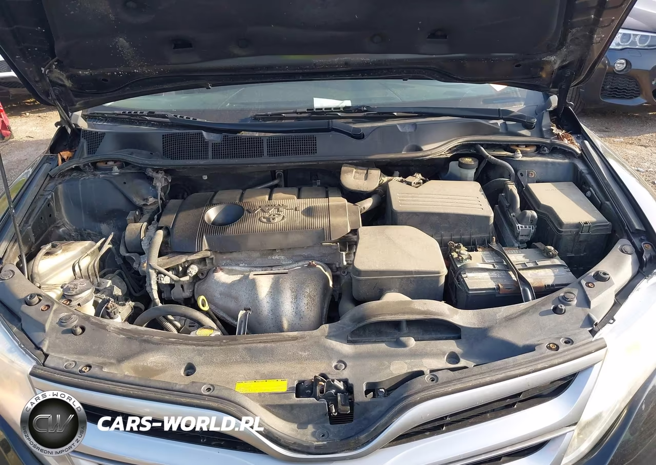2014 Toyota Venza Le VIN:4T3BA3BB5EU051776 - 10