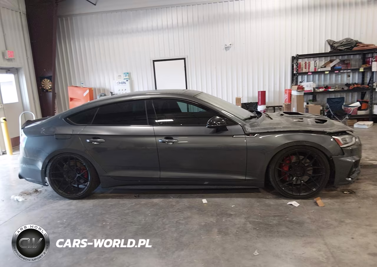 2019 Audi S5 3.0T Premium VIN:WAUC4CF53KA017763 - 12