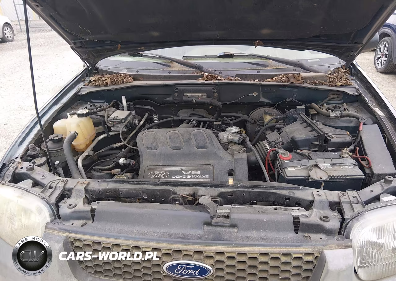 2004 Ford Escape Xlt VIN:1FMYU93154KA27149 - 10