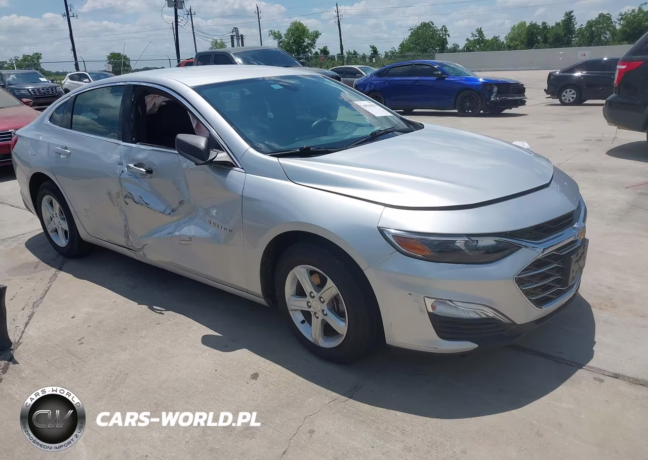 2019 Chevrolet Malibu 1Fl