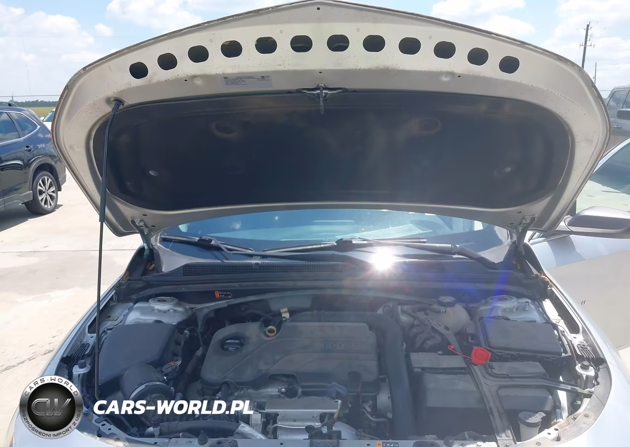 2019 Chevrolet Malibu 1Fl VIN:1G1ZC5STXKF181202 - 10