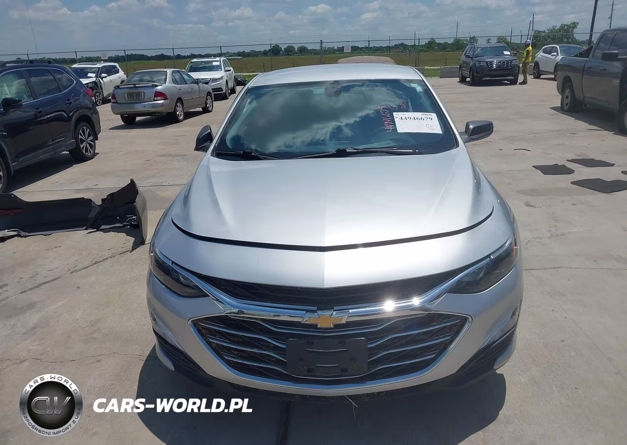2019 Chevrolet Malibu 1Fl VIN:1G1ZC5STXKF181202 - 12