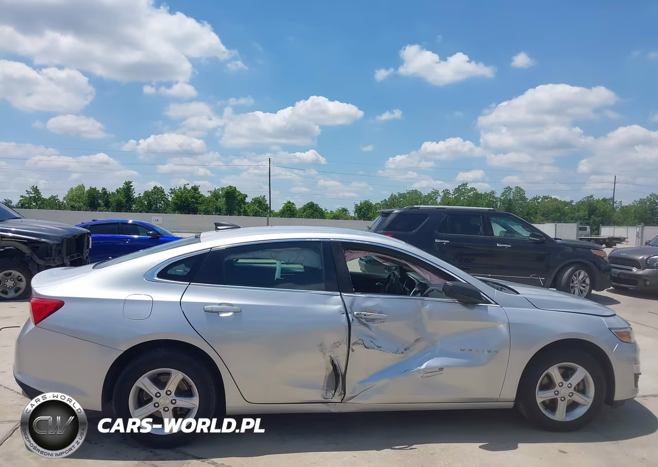 2019 Chevrolet Malibu 1Fl VIN:1G1ZC5STXKF181202 - 13