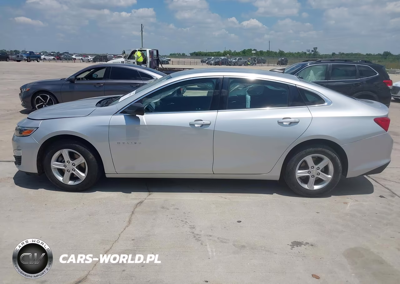 2019 Chevrolet Malibu 1Fl VIN:1G1ZC5STXKF181202 - 14