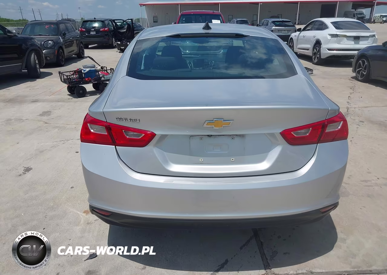 2019 Chevrolet Malibu 1Fl VIN:1G1ZC5STXKF181202 - 16