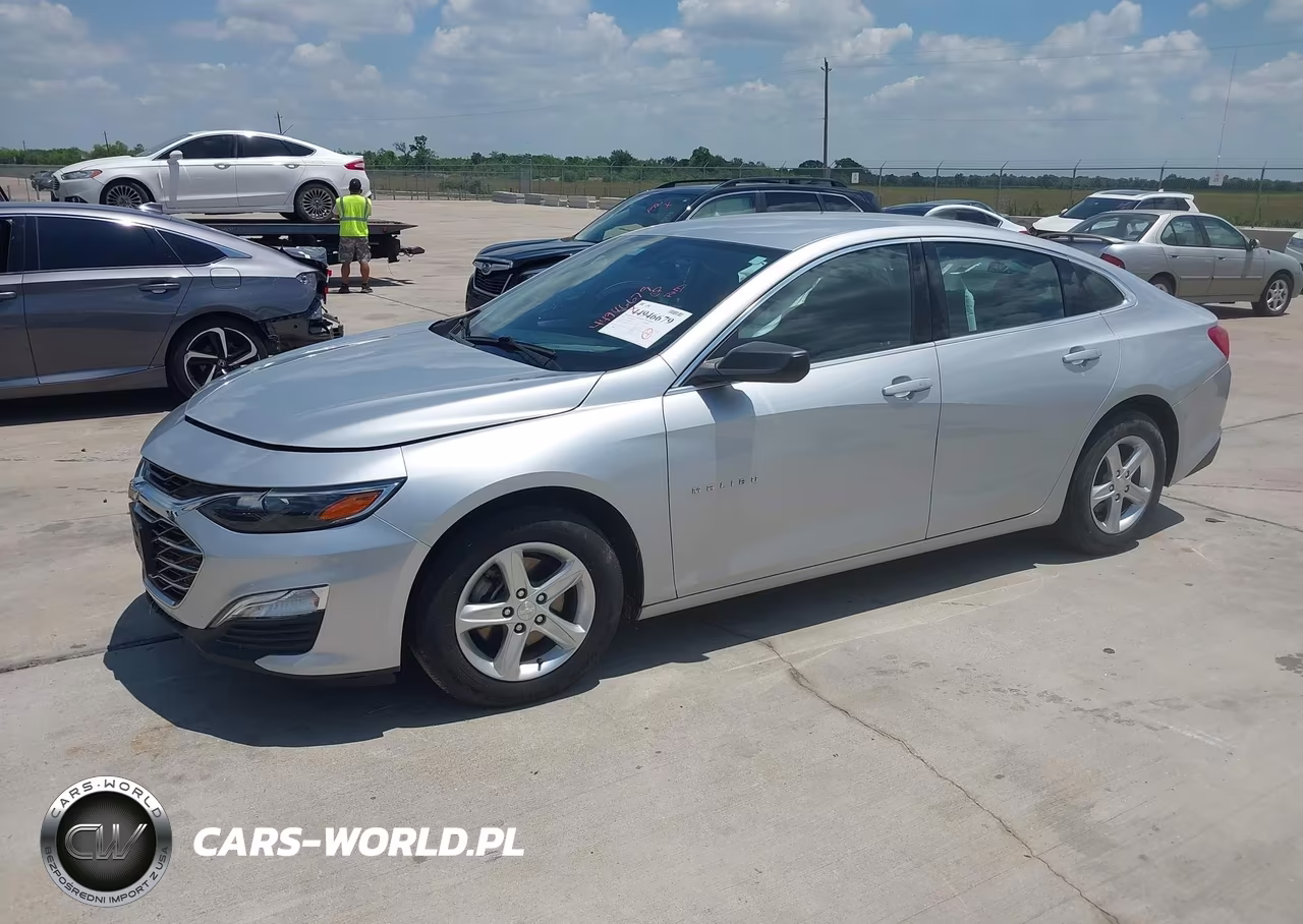 2019 Chevrolet Malibu 1Fl VIN:1G1ZC5STXKF181202 - 2