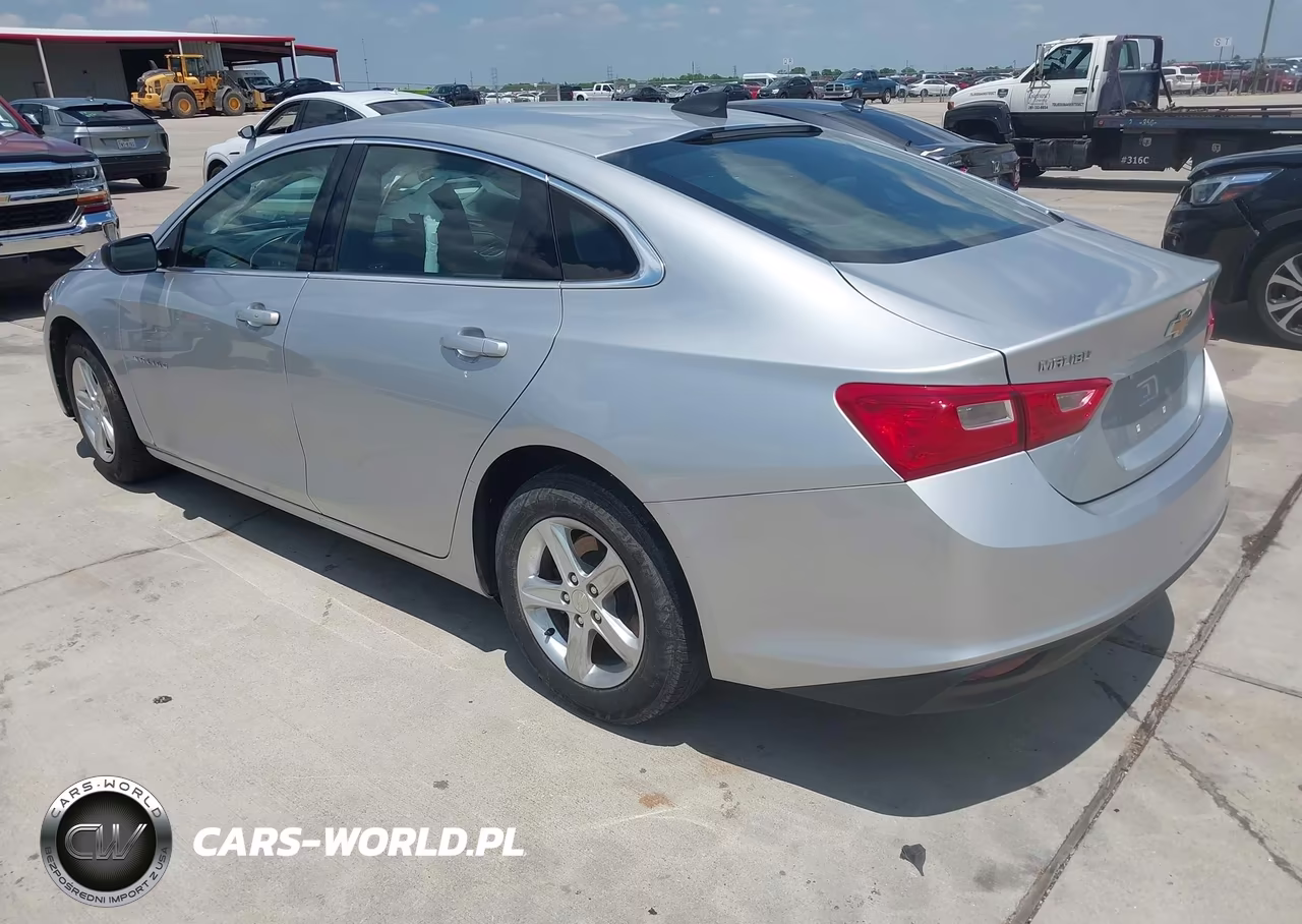 2019 Chevrolet Malibu 1Fl VIN:1G1ZC5STXKF181202 - 3