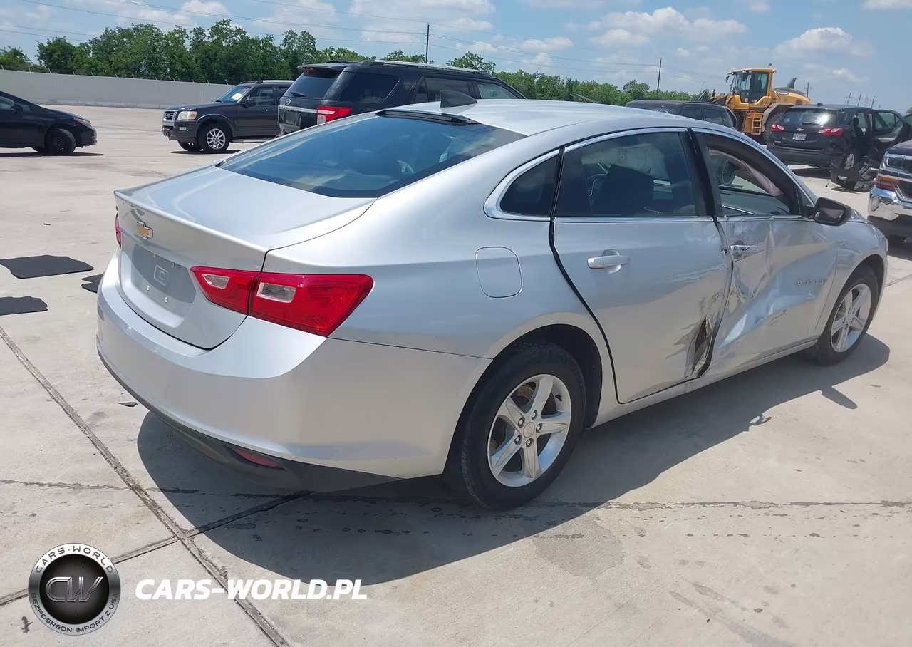 2019 Chevrolet Malibu 1Fl VIN:1G1ZC5STXKF181202 - 4