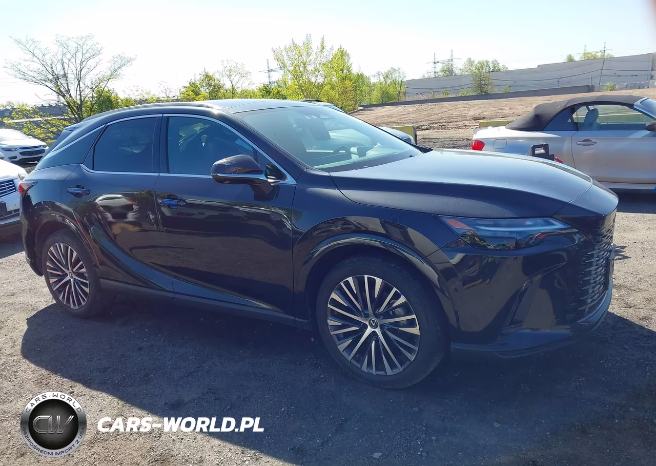2025 Lexus Rx 350H Premium Plus VIN:2T2BBMCA7SC080898 - 13