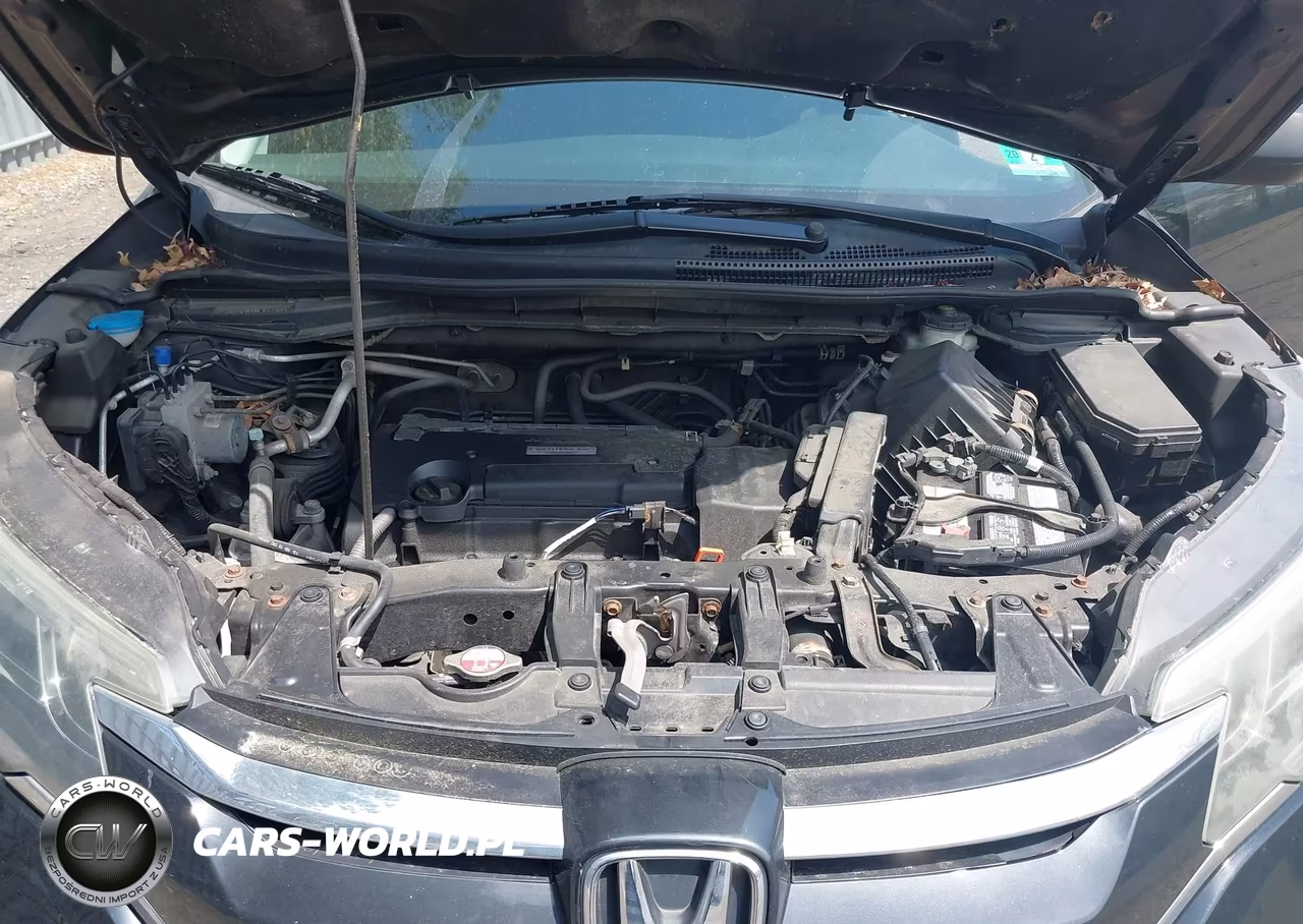 2016 Honda Cr-V Lx VIN:2HKRM4H35GH610815 - 10