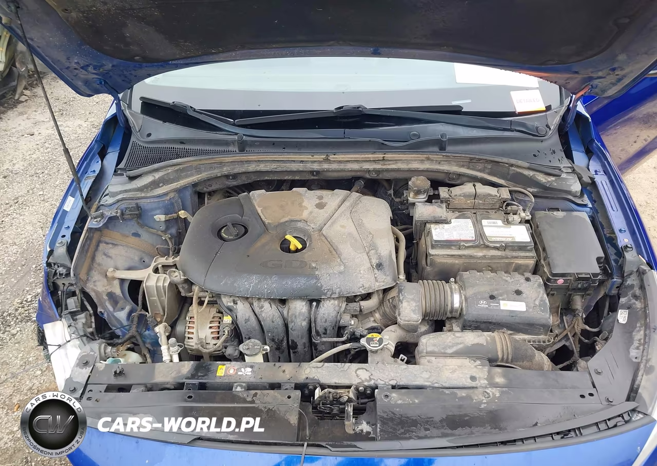 2019 Hyundai Elantra Gt VIN:KMHH35LE4KU088797 - 10