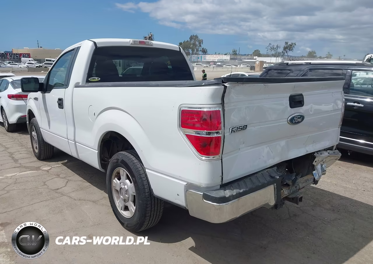 2010 Ford F-150 Stx-Xl-Xlt VIN:1FTMF1CW6AKB56099 - 3