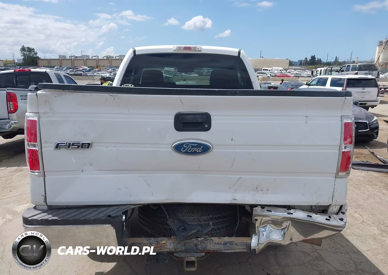 2010 Ford F-150 Stx-Xl-Xlt VIN:1FTMF1CW6AKB56099 - 6