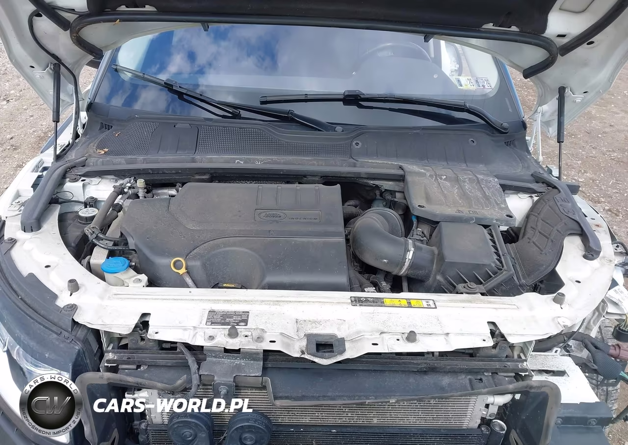 2019 Land Rover Range Rover Evoque Se-Se Premium VIN:SALVP2RX4KH340861 - 10